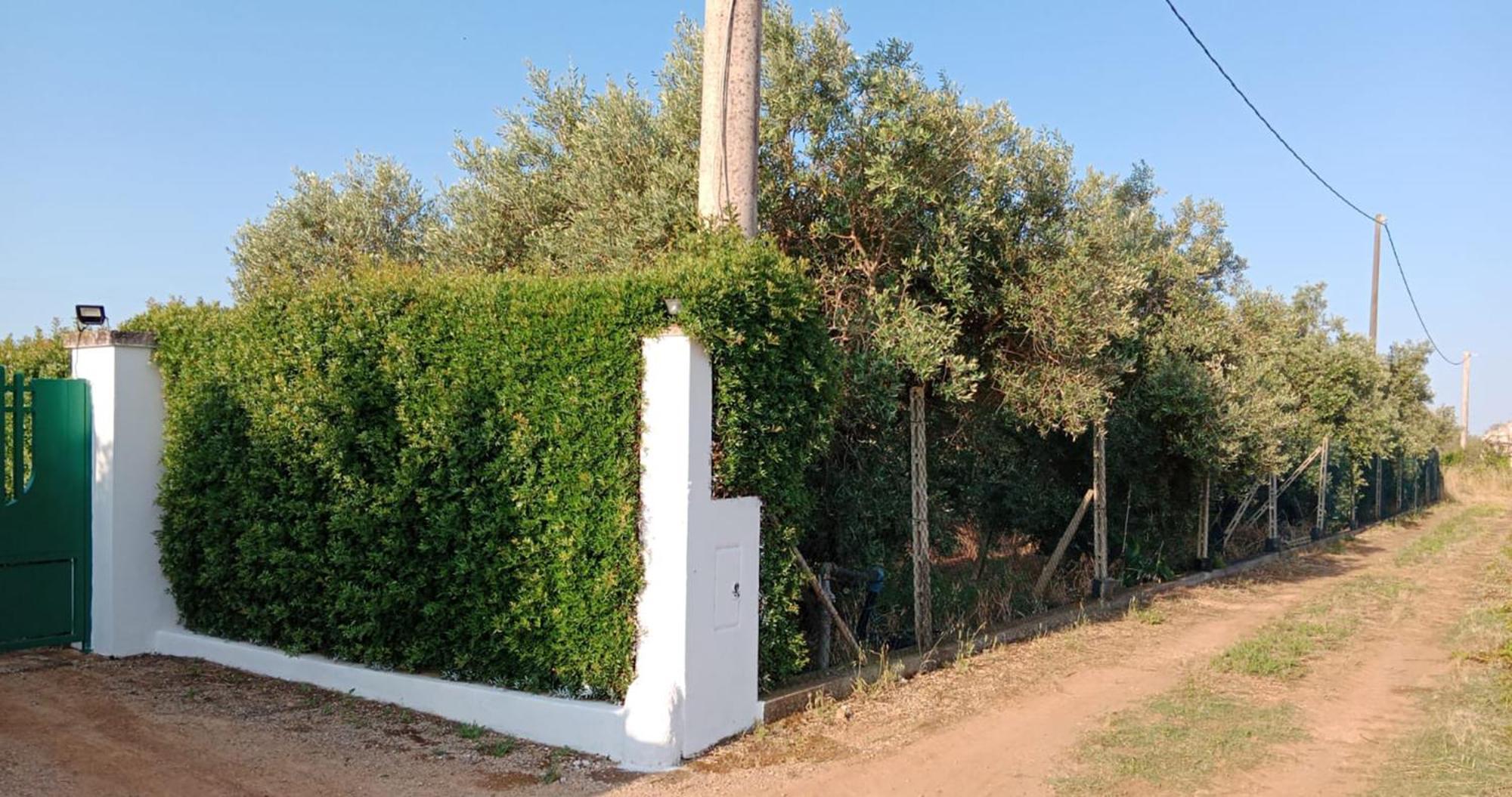 LA PILA masseria salentina con piscina 6 PL Casarano Esterno foto