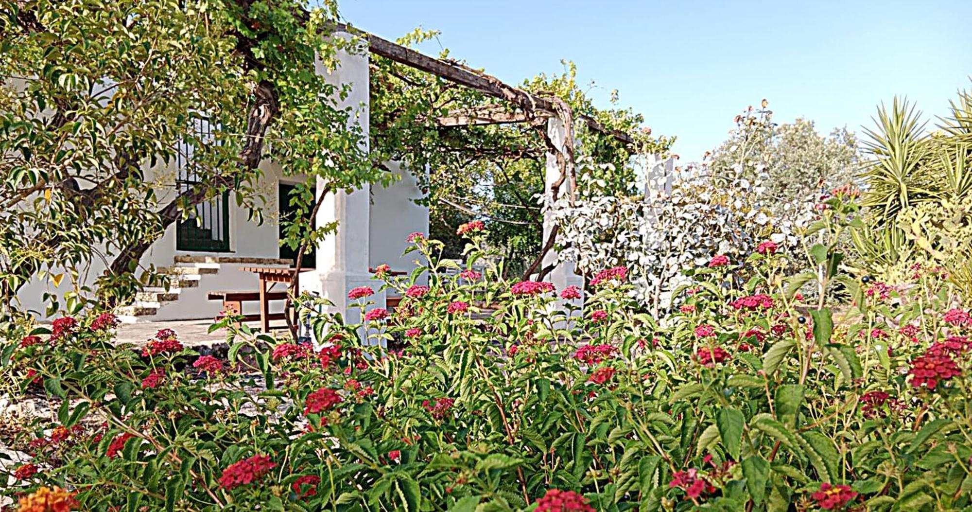 LA PILA masseria salentina con piscina 6 PL Casarano Esterno foto
