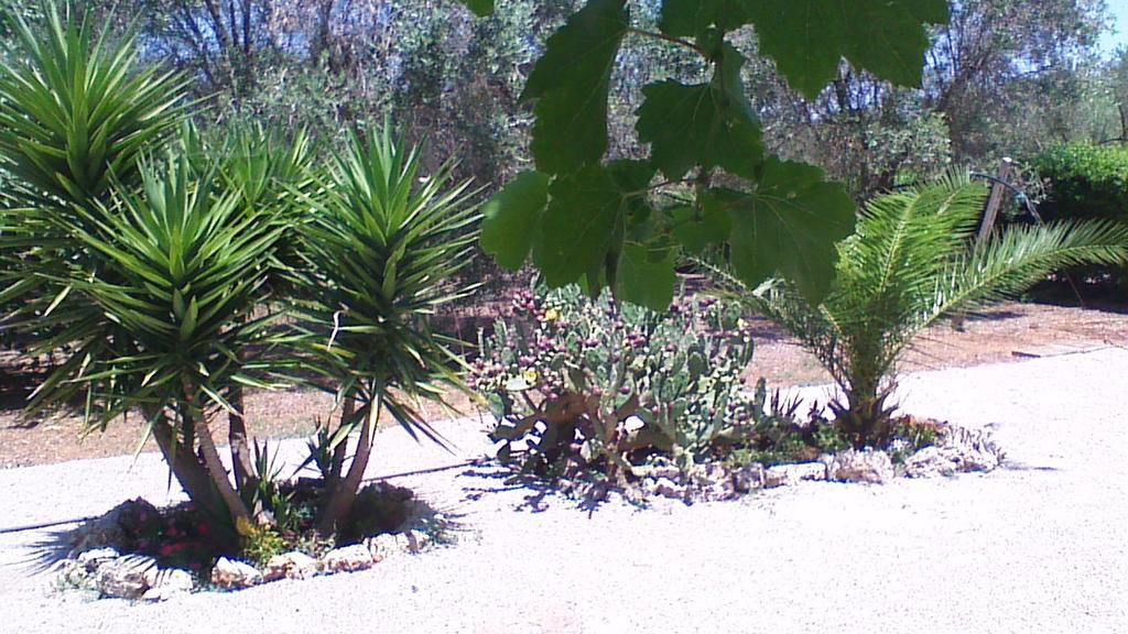 LA PILA masseria salentina con piscina 6 PL Casarano Esterno foto